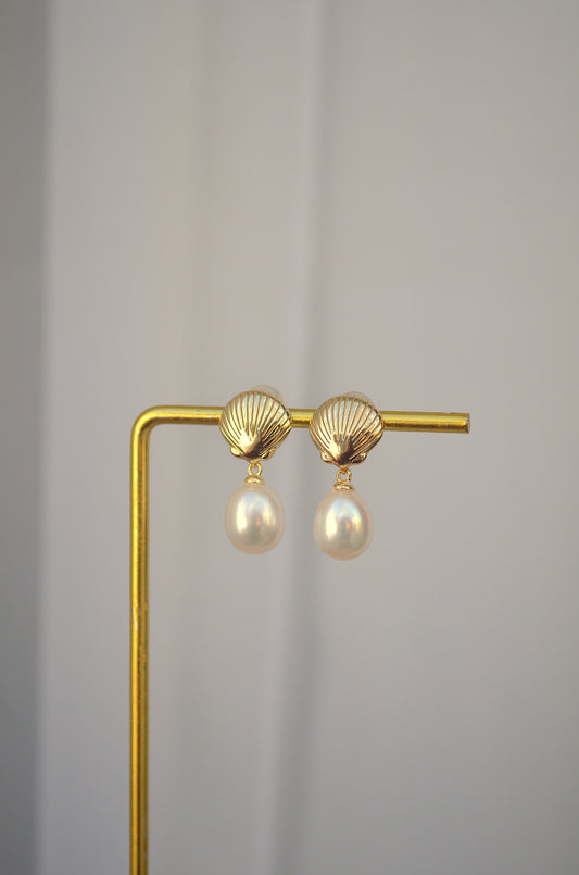 Shell and Pearl Earrings